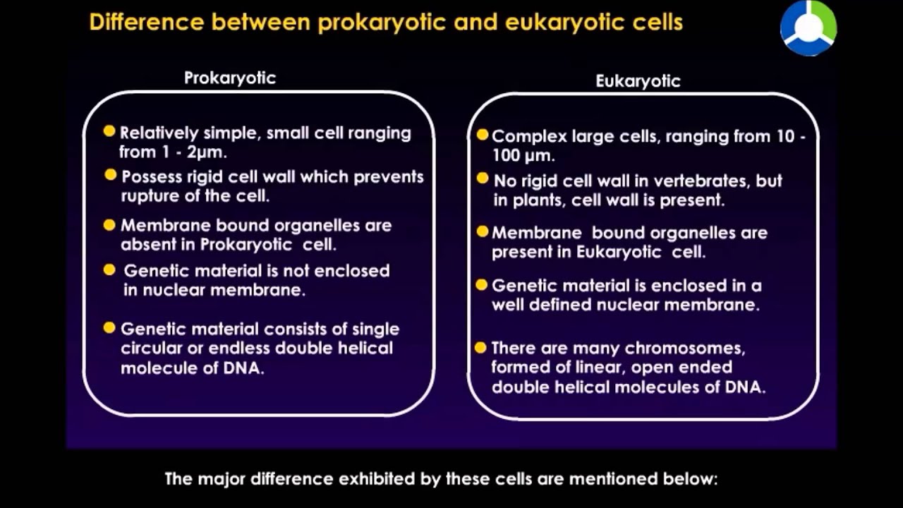 difference between prokaryotic and eukaryotic cell pdf download